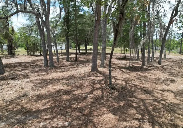 Homes for sale in Bronson, FL | Ne 56Th St, Bronson, FL 32621 | MLS# O6417278