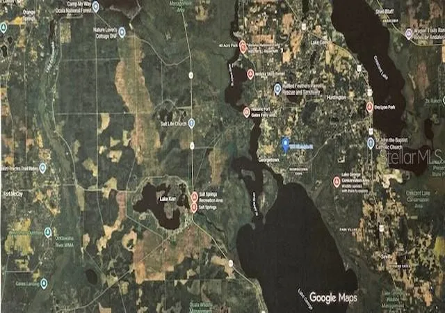 Homes for sale in Georgetown, FL | 132 Glenside St, Georgetown, FL 32139 | MLS# OM726738