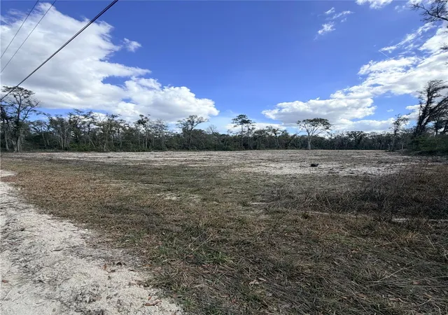 Homes for sale in Old Town, FL | 163 Ne 159th Ave, Old Town, FL 32680 | MLS# W7886785