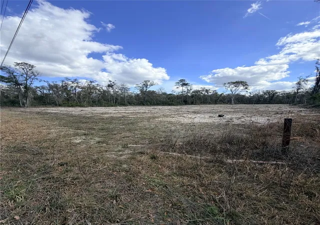 Homes for sale in Old Town, FL | 163 Ne 159th Ave, Old Town, FL 32680 | MLS# W7886785