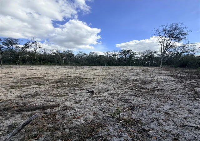 Homes for sale in Old Town, FL | 163 Ne 159Th Ave, Old Town, FL 32680 | MLS# W7886785