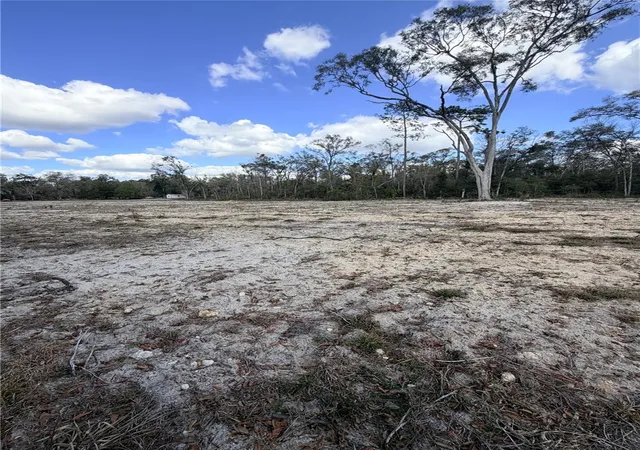 Homes for sale in Old Town, FL | 163 Ne 159Th Ave, Old Town, FL 32680 | MLS# W7886785