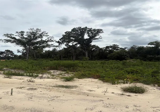 5th image of 7200 E Hwy 25, Belleview, FL 34420 | MLS# OM726791