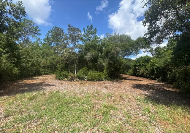 Homes for sale in Paisley, FL | 0 North Cir E, Paisley, FL 32767 | MLS# O6417539