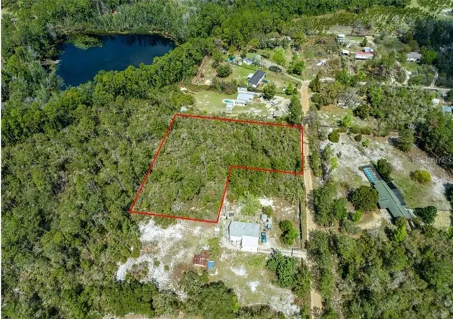 Homes for sale in Paisley, FL | 0 North Cir E, Paisley, FL 32767 | MLS# O6417539