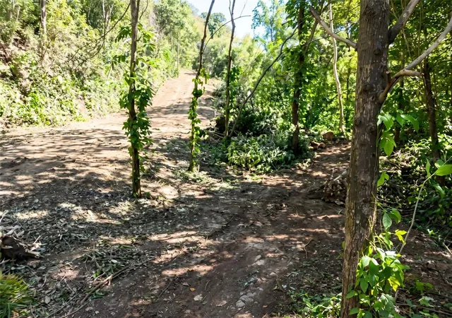 Homes for sale in Bayamon, PR | Ave Orquidea Urb Valencia, Bayamon, PR 00959 | MLS# PR9122150