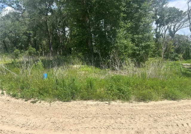 Photo 3 of Land for sale at 4392 E Jay St, Inverness, FL 34453 | MLS# S5152040 | Listing updated on 2026-06-30