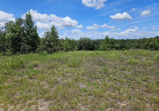 Photo 3 of Sale Pending at 3814 W Rancetta St, Dunnellon, FL 34433 | MLS# OM726801 | Listing updated on 2026-09-21