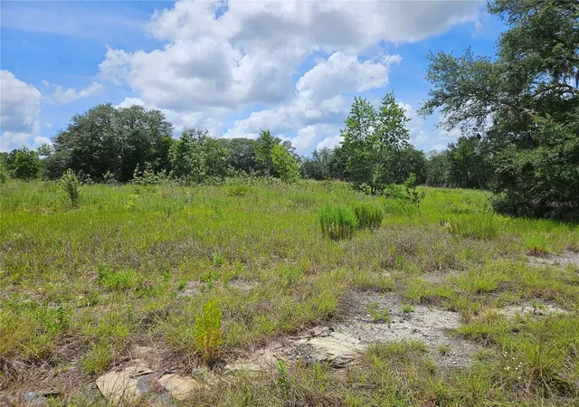 6th image of 3814 W Rancetta St, Dunnellon, FL 34433 | MLS# OM726801