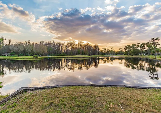 50th image of 5473 Blue Heron Ln, Wesley Chapel, FL 33543 | MLS# TB8520132