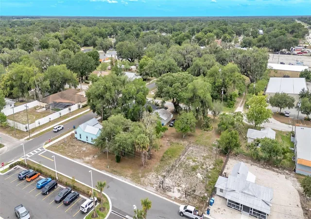 Homes for sale in Fort Meade, FL | 20 S Lanier Ave, Fort Meade, FL 33841 | MLS# TB8520135