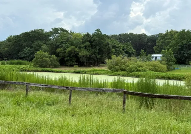 Photo 4 of Sale Pending at 5890 SE 145th Street, Summerfield, FL 34491 | MLS# OM726826 | Listing updated on 2026-09-05