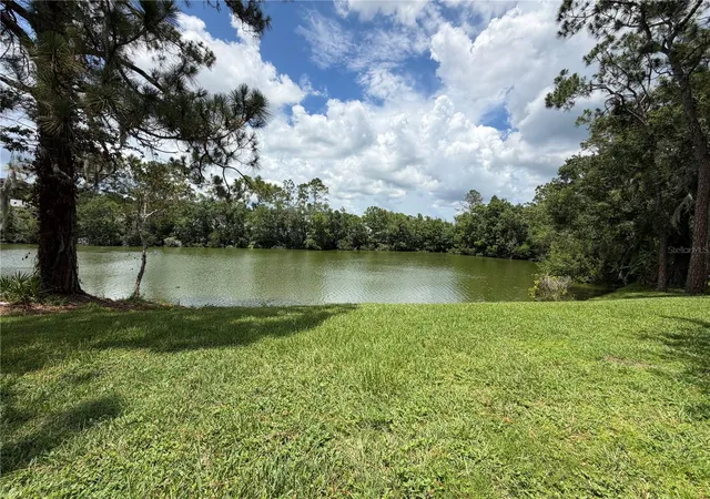 Homes for sale in Lutz, FL | 15637 Morning Dr, Lutz, FL 33559 | MLS# L4962842