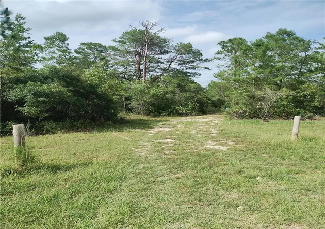 Photo 1 of Land for sale at 6033 W Tirana Ln, Dunnellon, FL 34433 | MLS# O6417687 | Listing updated on 2026-06-18