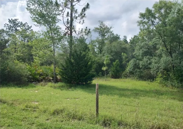Photo 2 of Land for sale at 6033 W Tirana Ln, Dunnellon, FL 34433 | MLS# O6417687 | Listing updated on 2026-06-18