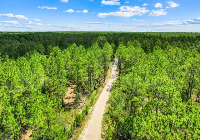 Homes for sale in Clermont, FL | Water Rd, Clermont, FL 34711 | MLS# G5113933