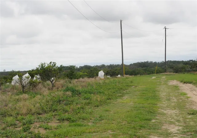 3rd image of 3961 Byron Blvd, Avon Park, FL 33825 | MLS# O6417732