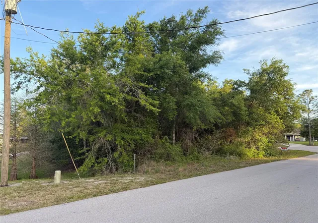 Photo 1 of Land for sale at Magnolia Cir, Lake Wales, FL 33898 | MLS# O6417735 | Listing updated on 2026-08-28
