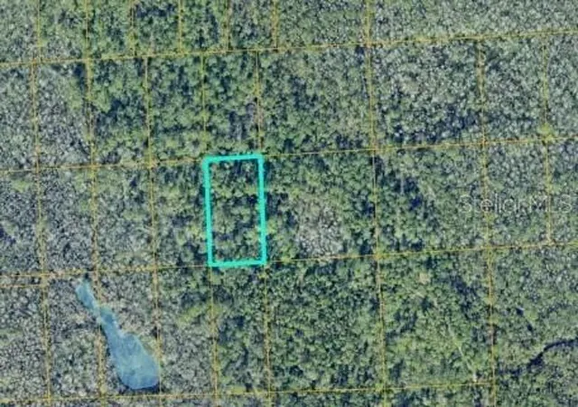 Homes for sale in Lake Helen, FL | No St, Lake Helen, FL 32744 | MLS# O6417738