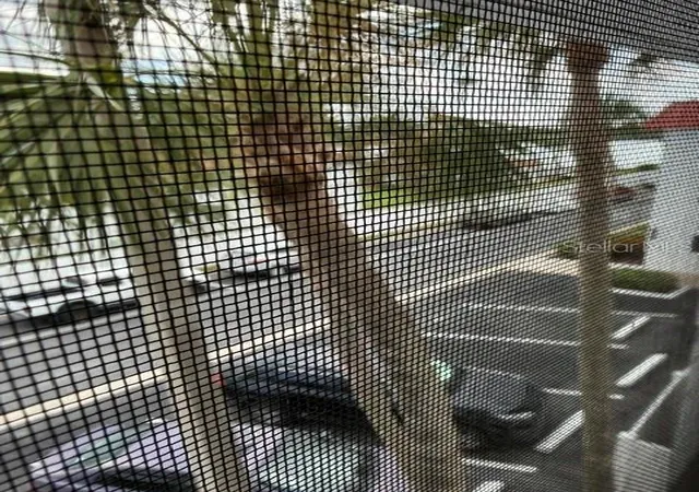 5th image of 10530 77Th Ter, Seminole, FL 33772