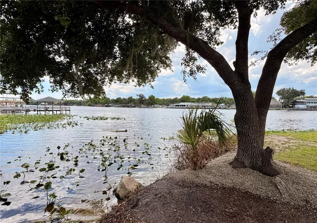 4th image of 1570 Riveredge Ct, Astor, FL 32102 | MLS# R4911485
