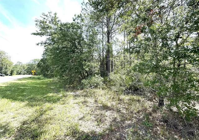 Photo 3 of Land for sale at 0 Lake Caloosa Landing, Frostproof, FL 33843 | MLS# K4903572 | Listing updated on 2026-06-18