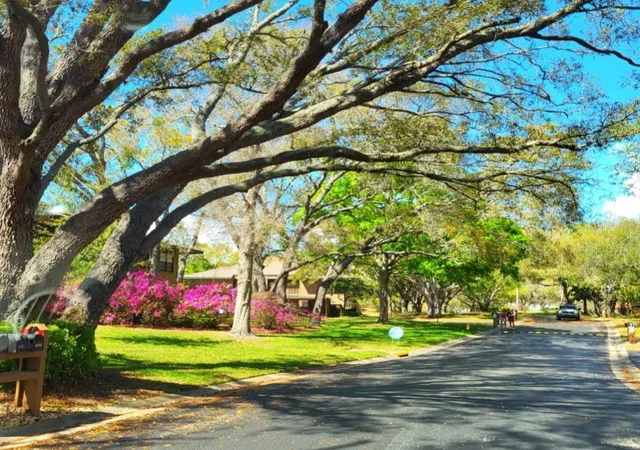 2nd image of 2205 Lennox Rd E, PALM HARBOR, FL 34683