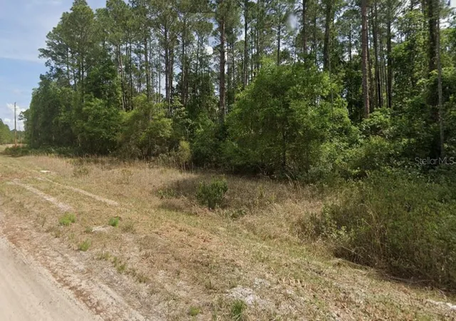 Photo 4 of Land for sale at 136 Shorewood St, Georgetown, FL 32139 | MLS# OM726867 | Listing updated on 2026-06-18