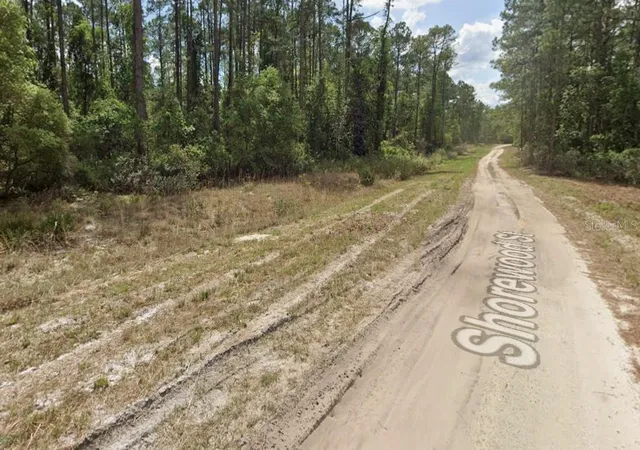 Photo 5 of Land for sale at 136 Shorewood St, Georgetown, FL 32139 | MLS# OM726867 | Listing updated on 2026-06-18