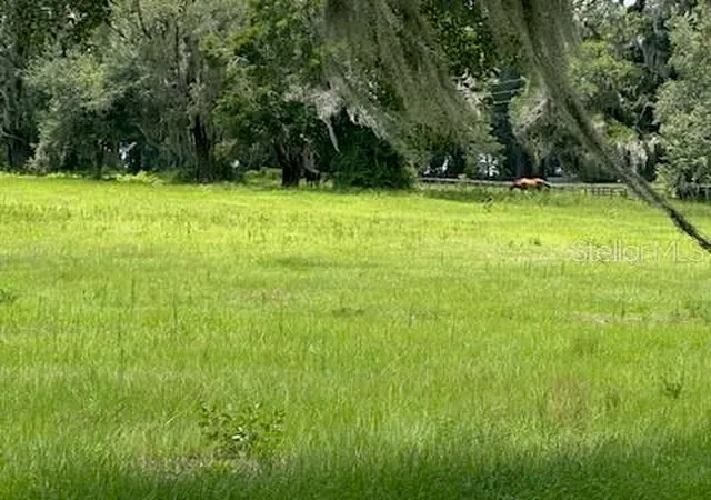 4th image of 14854 Ne Jacksonville Rd, Citra, FL 32113 | MLS# OM726872