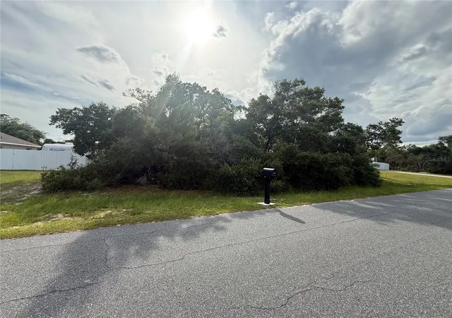 Photo 3 of Land for sale at Tbd Sw 161st Loop, Ocala, FL 34473 | MLS# O6417860 | Listing updated on 2026-10-14