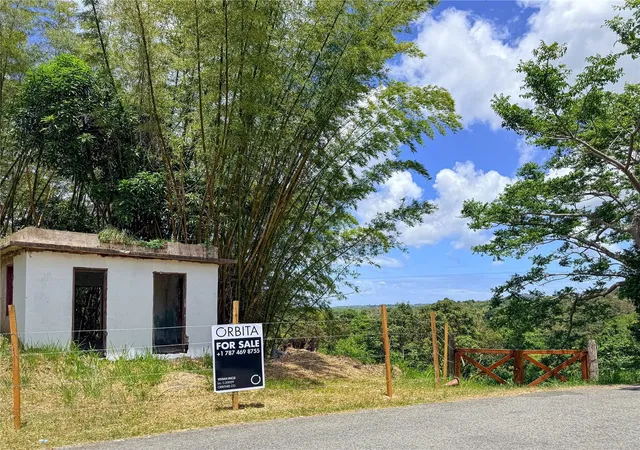 Homes for sale in Juncos, PR | Bo Valenciano, Juncos, PR 00777 | MLS# PR9122174