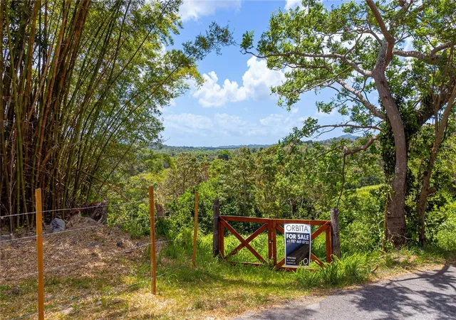 Homes for sale in Juncos, PR | Bo Valenciano, Juncos, PR 00777 | MLS# PR9122174