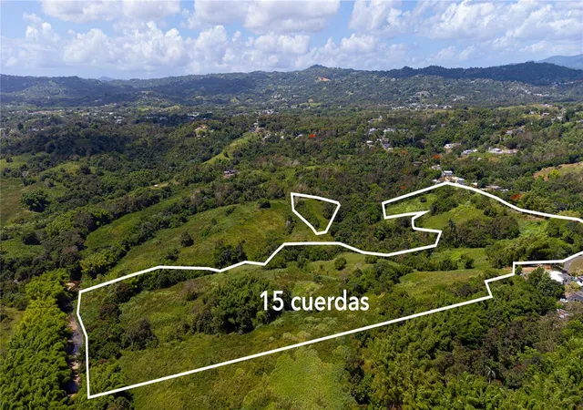 Homes for sale in Juncos, PR | Bo Valenciano, Juncos, PR 00777 | MLS# PR9122174