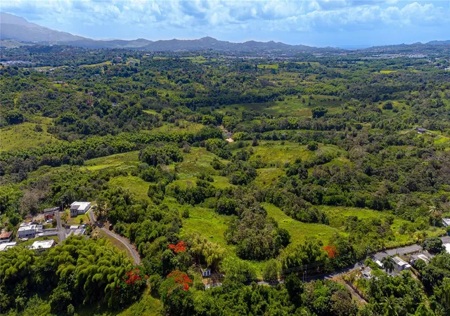 Homes for sale in Juncos, PR | Bo Valenciano, Juncos, PR 00777 | MLS# PR9122174