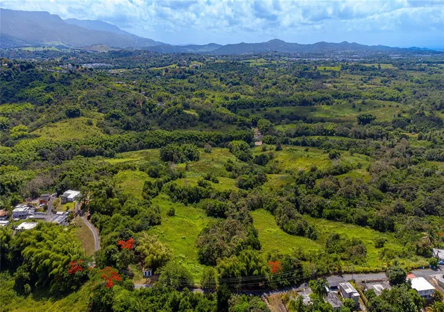 Homes for sale in Juncos, PR | Bo Valenciano, Juncos, PR 00777 | MLS# PR9122174