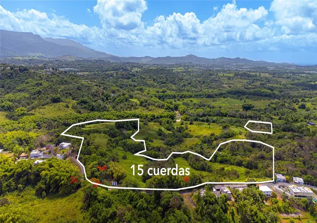 Photo 4 of Land for sale at Bo Valenciano, Juncos, PR 00777 | MLS# PR9122174 | Listing updated on 2026-08-04