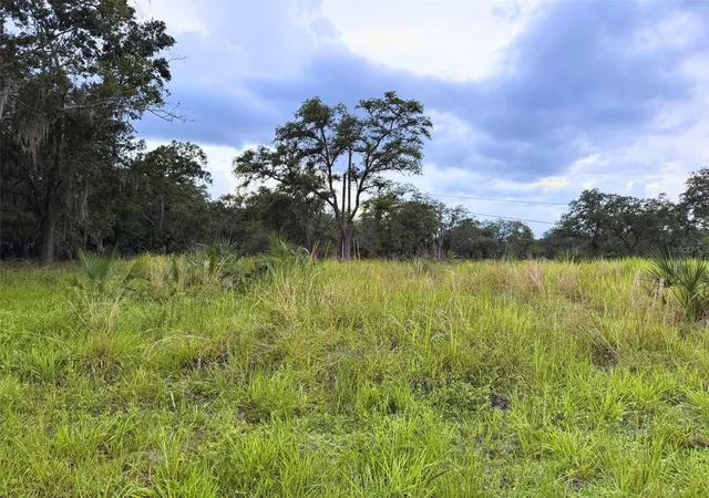1st image of 121 Central Ave, Davenport, FL 33896 | MLS# TB8520469