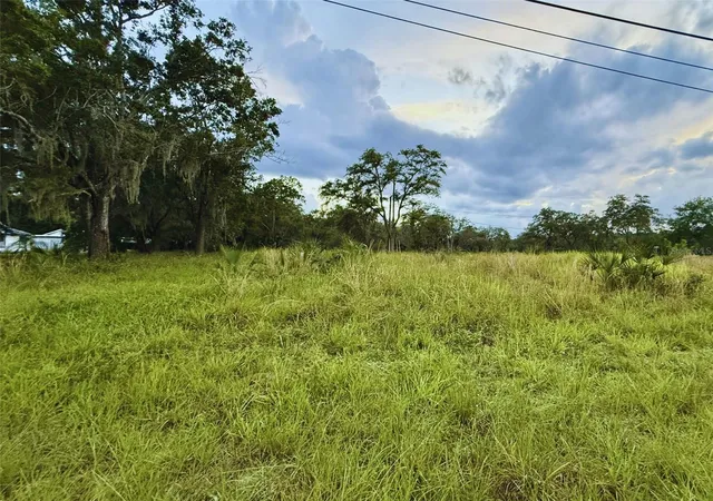2nd image of 121 Central Ave, Davenport, FL 33896 | MLS# TB8520469