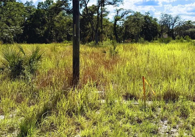 3rd image of 121 Central Ave, Davenport, FL 33896 | MLS# TB8520469