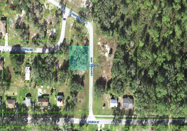 5th image of 121 Central Ave, Davenport, FL 33896 | MLS# TB8520469