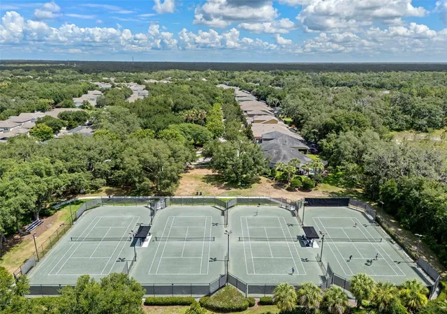 42nd image of 15814 Starling Water Dr, Lithia, FL 33547 | MLS# TB8520482
