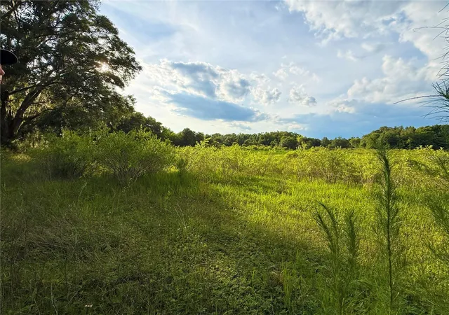 3rd image of 000 Nw 68 Ter, Chiefland, FL 32626 | MLS# GC541294