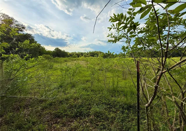 4th image of 000 Nw 68 Ter, Chiefland, FL 32626 | MLS# GC541294