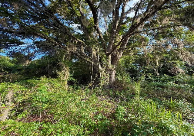 5th image of 000 Nw 68 Ter, Chiefland, FL 32626 | MLS# GC541294