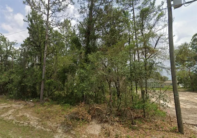 Photo 3 of Land for sale at 6820 Sw 153rd Place Rd, Ocala, FL 34473 | MLS# A4697432 | Listing updated on 2026-10-06
