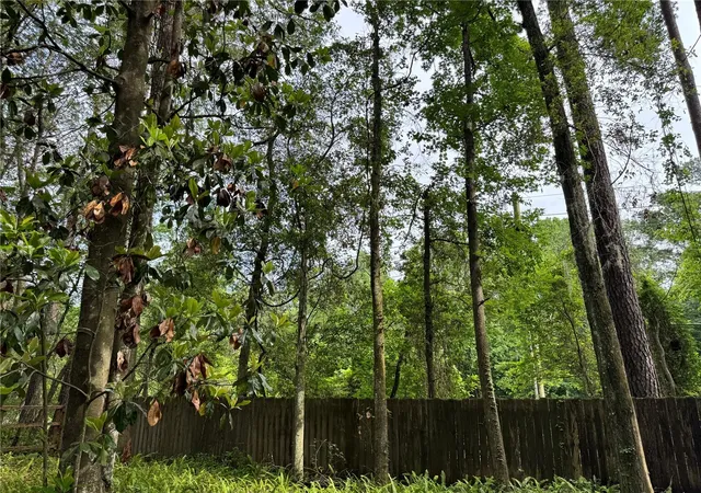 20th image of 713 Nw 95th Ter, Gainesville, FL 32607 | MLS# GC541308