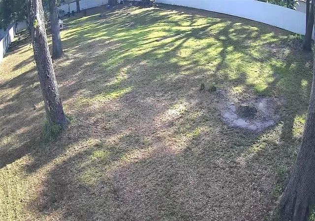 5th image of 11310 Brightridge Dr, Seffner, FL 33584 | MLS# W7886848