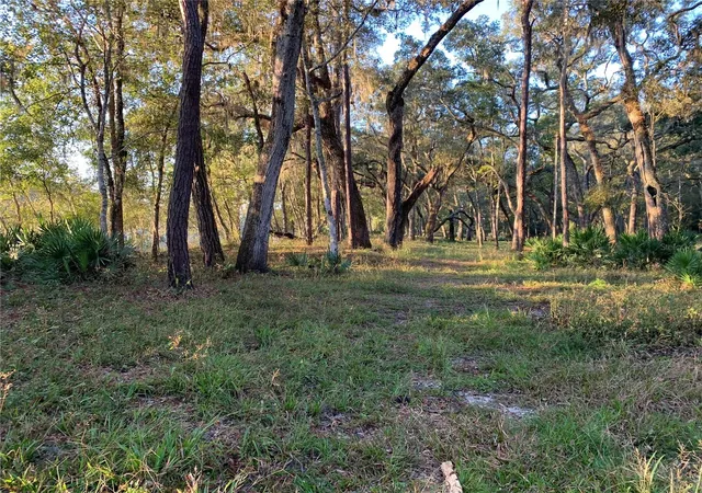 Homes for sale in Old Town, FL | 1305 Ne 930Th St, Old Town, FL 32680 | MLS# TB8520633