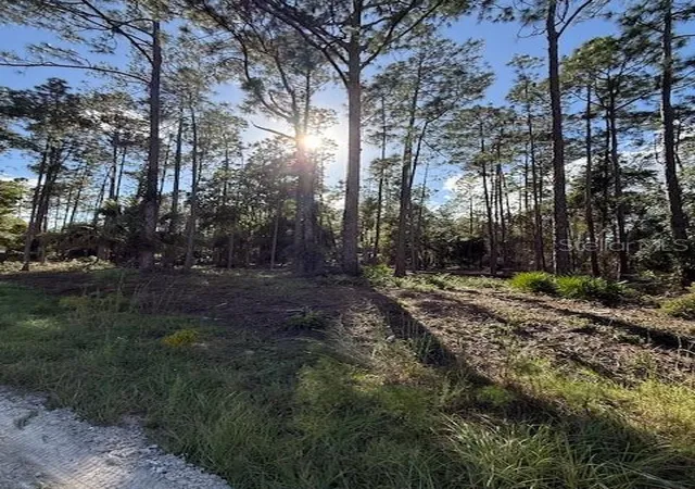 Photo 1 of Land for sale at 215 Hideaway Ln, Georgetown, FL 32139 | MLS# V4949730 | Listing updated on 2026-08-04